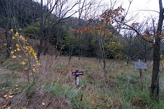 File:Haibara2.jpg