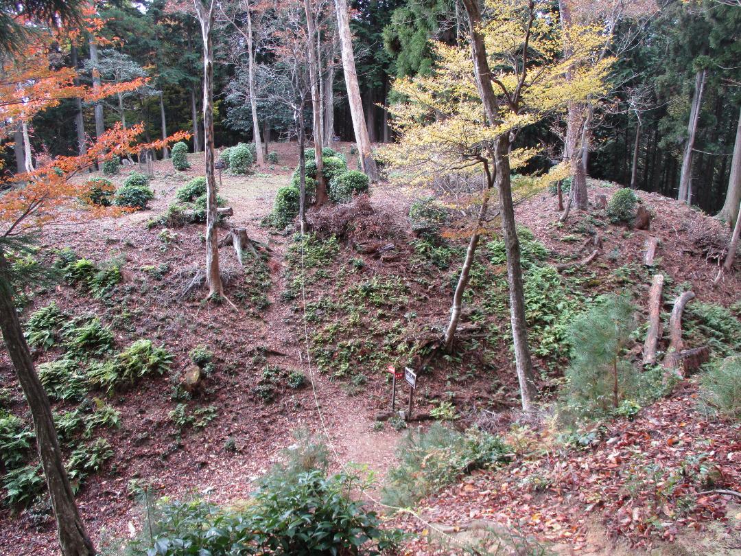 Bodaiyamajou 001.jpg