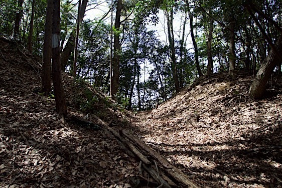 File:Jofukuji25.jpg