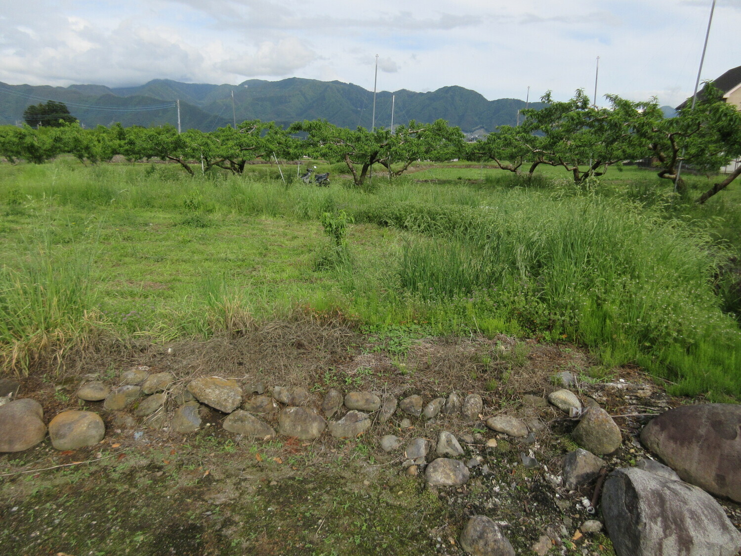 KaiKounoYashiki (3).JPG