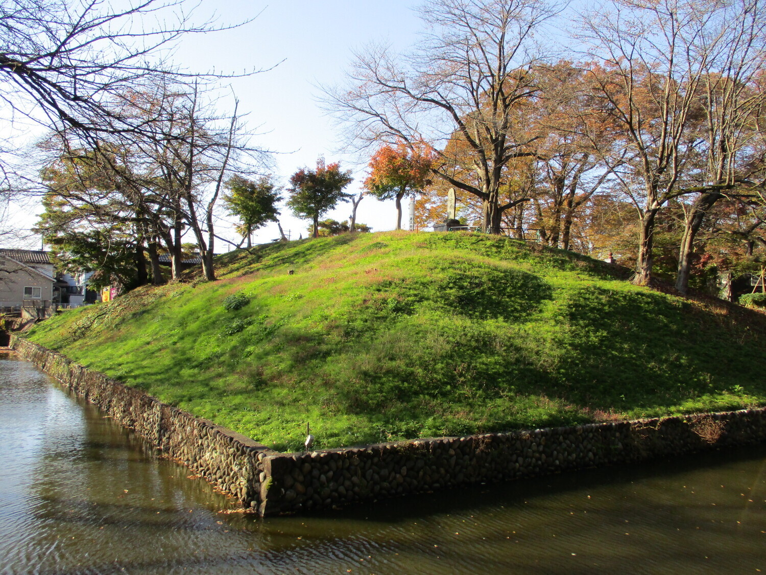 Zaodoujou (1).JPG