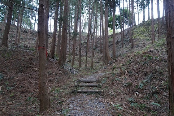 File:Minagawa24.jpg