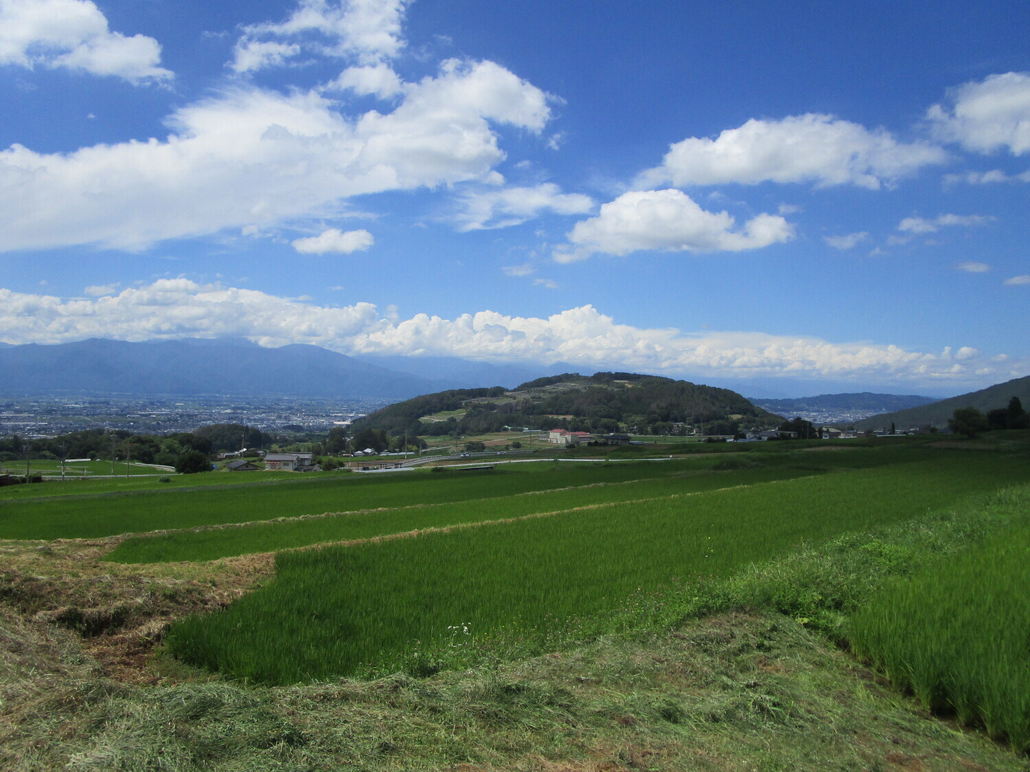 NakayamaToride01.JPG