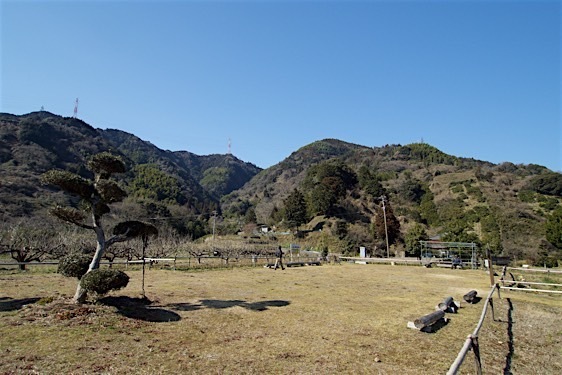 File:Ojima8.jpg