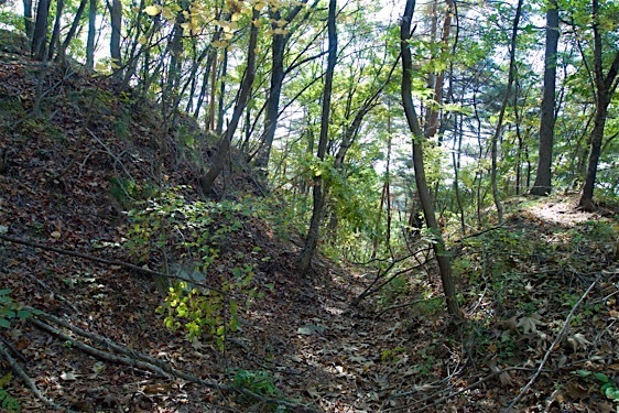 File:Hayashioh5.jpg