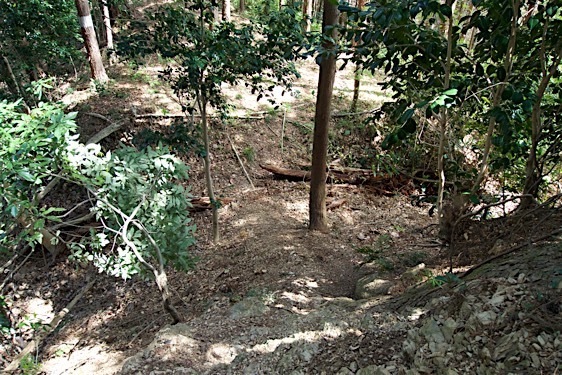 File:Jofukuji14.jpg