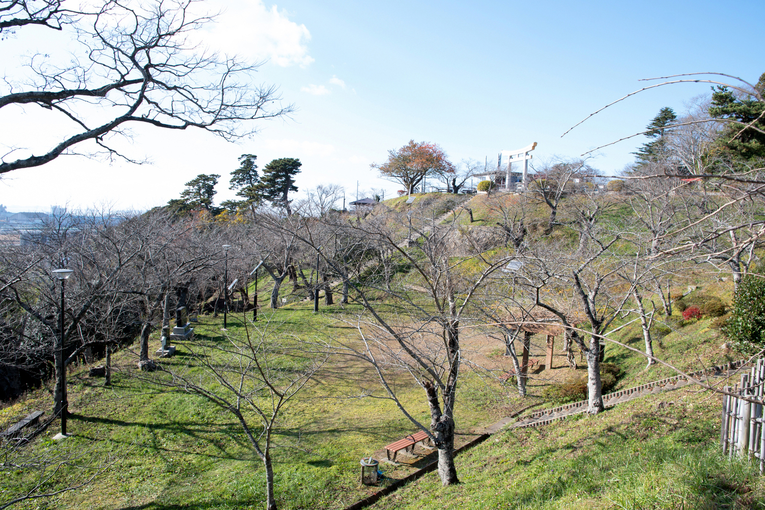 Ishinomaki1.jpg