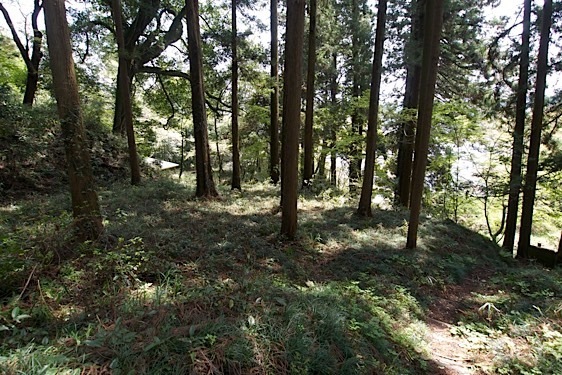 File:Mumo5.jpg