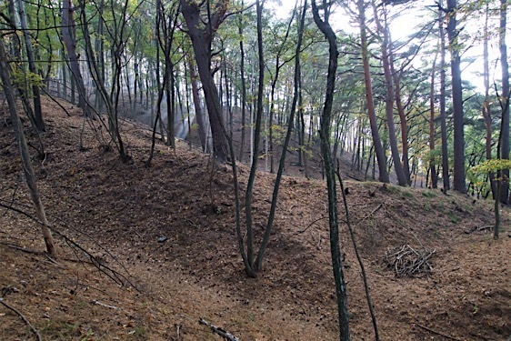 File:Haibara15.jpg