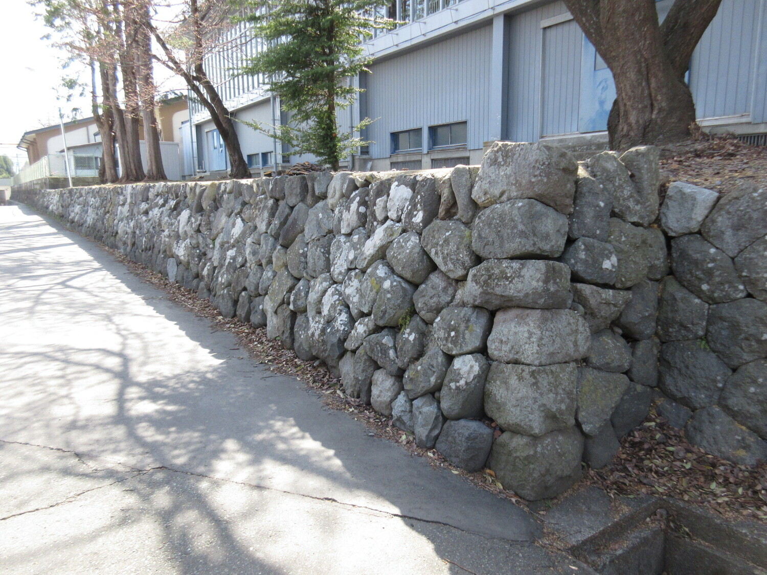SuzakiJinya (1).JPG