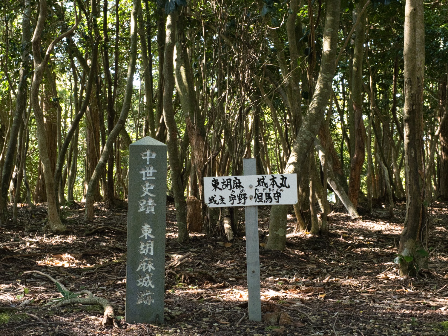 Higashigoma3.jpg