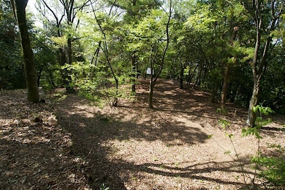 File:Tsumagi14.jpg