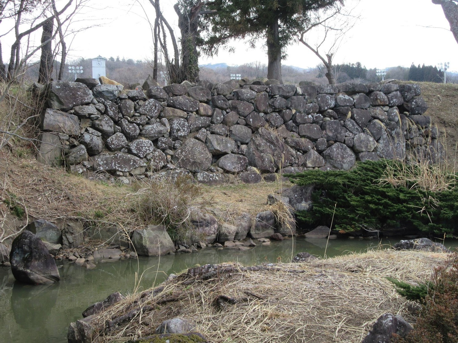Yanagawa1.jpg