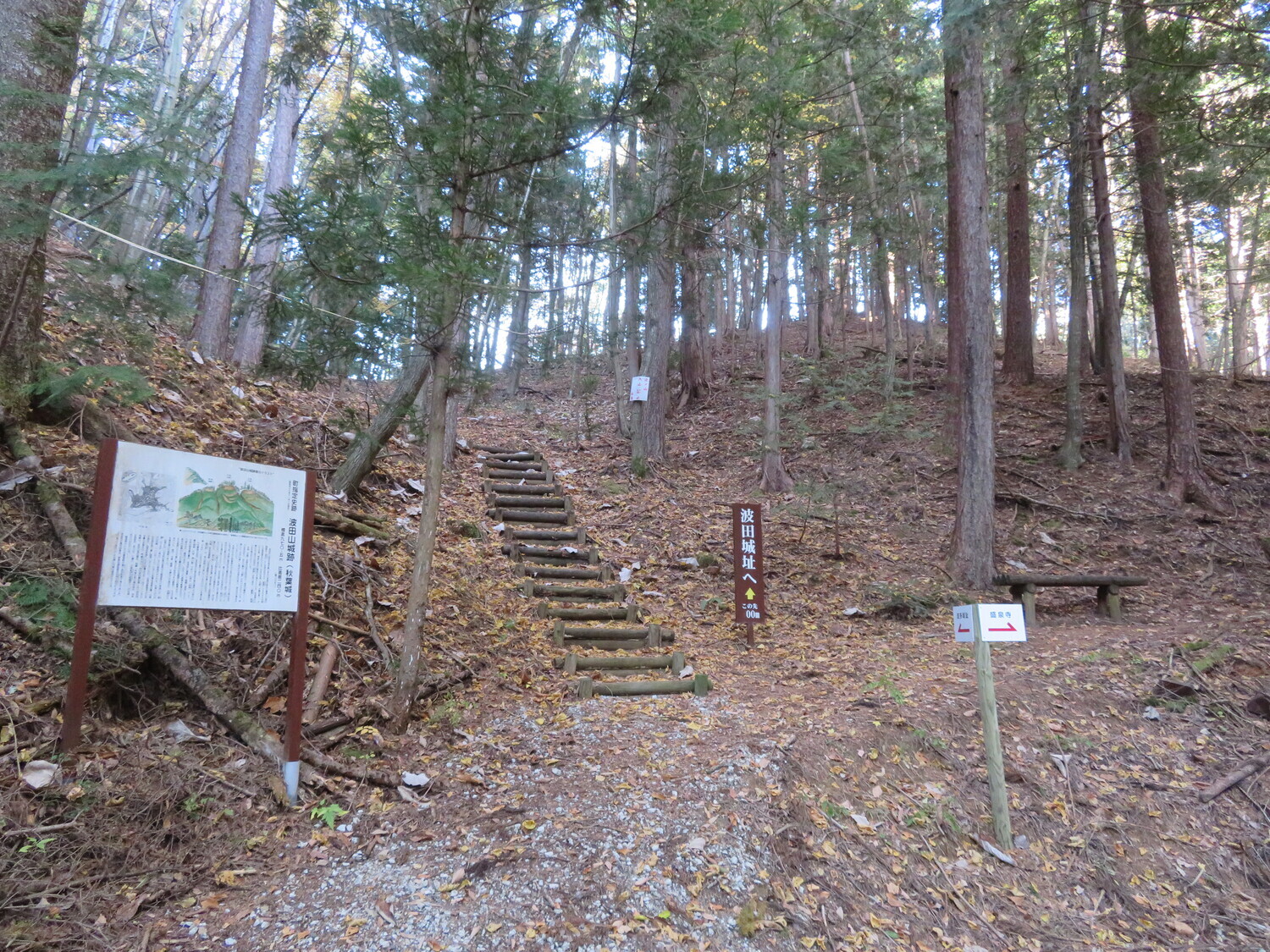 Hatayamajou (5).JPG