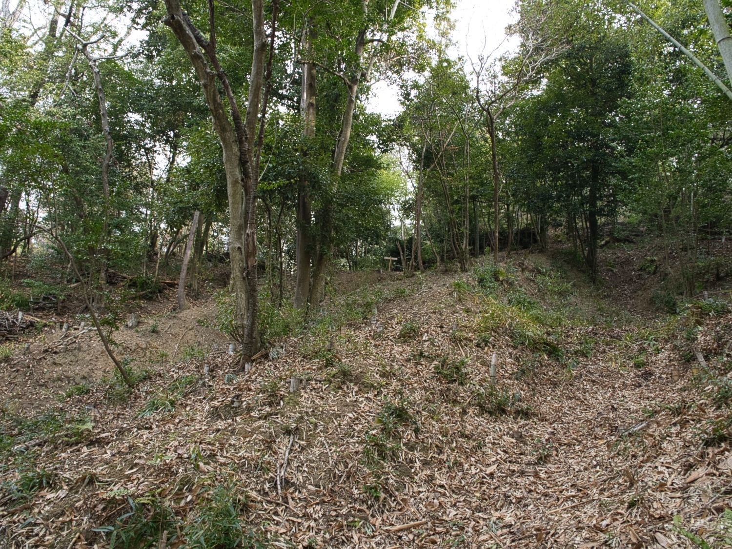 Kaseyamakyoto9.jpg