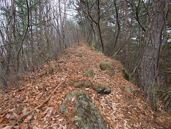 File:Matsuoko3.jpg