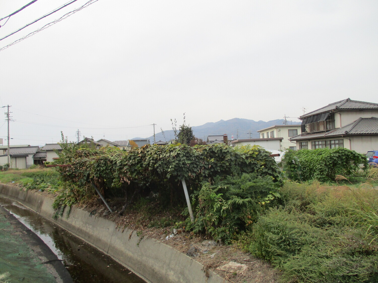 MinochiSendajou (1).JPG