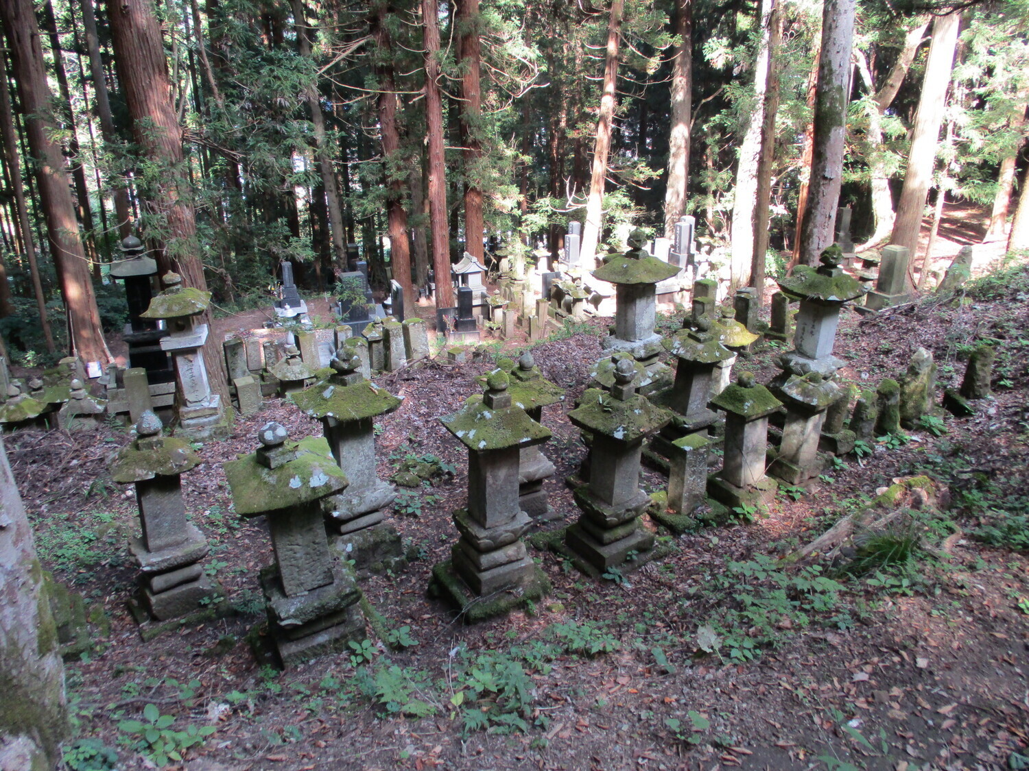 NirekuboYakata (1).JPG