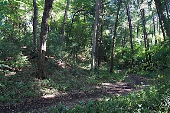 File:Shakujii16.jpg