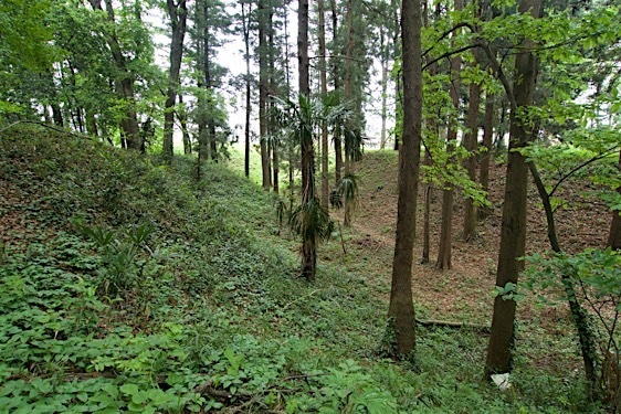 File:Zen20.jpg