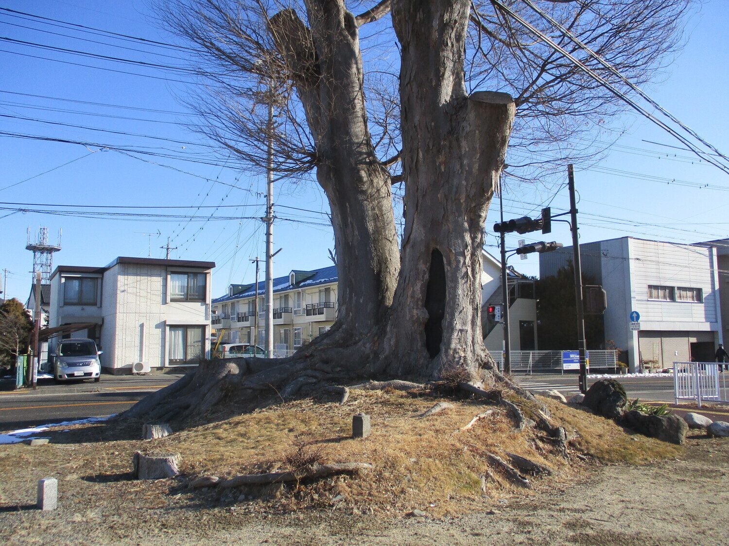 InaShimohiraidekojou (1).JPG