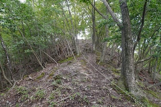 File:Konosumi23.jpg
