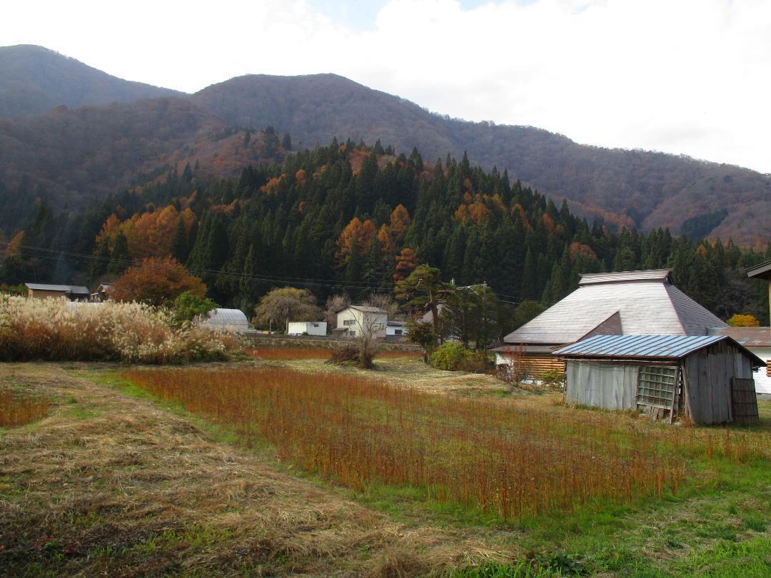 Sawadojou (3).jpg