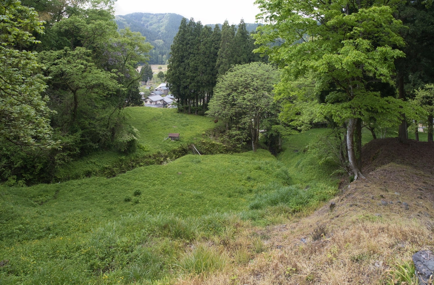 Ichijodani-kojo1.jpg