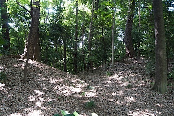 File:Jindaiji10.jpg