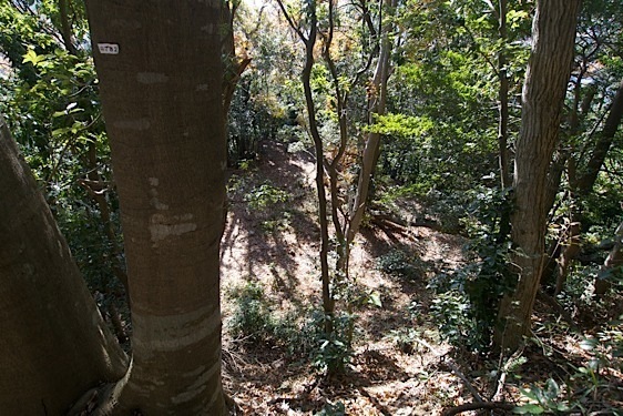 File:Tsukui7.jpg