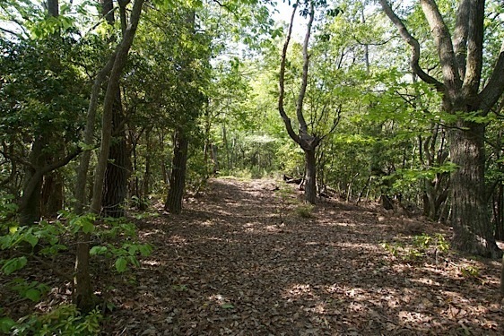 File:Tsumagi20.jpg
