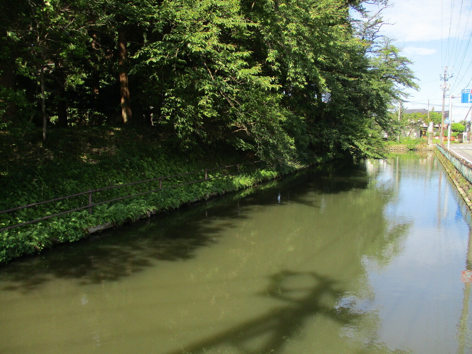Aratamejou (1).JPG