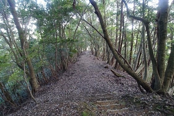 File:Arikoyama3.jpg
