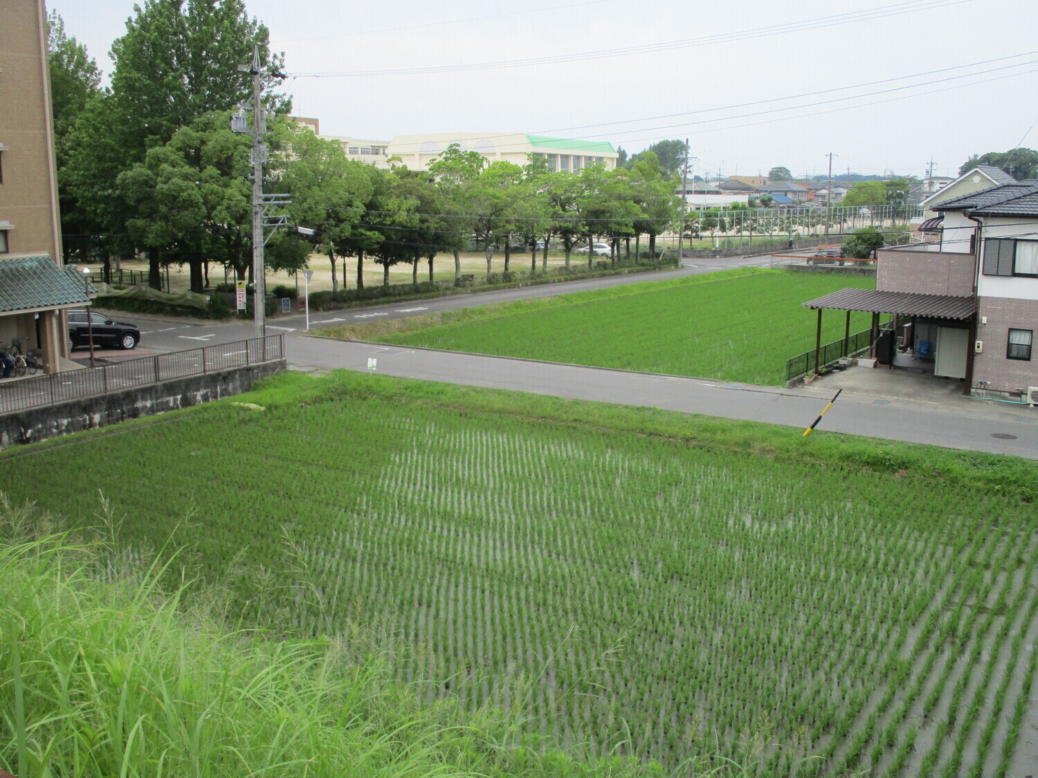 MikawaIsobejou (1).JPG