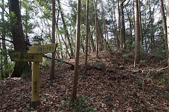 File:Tokura8.jpg