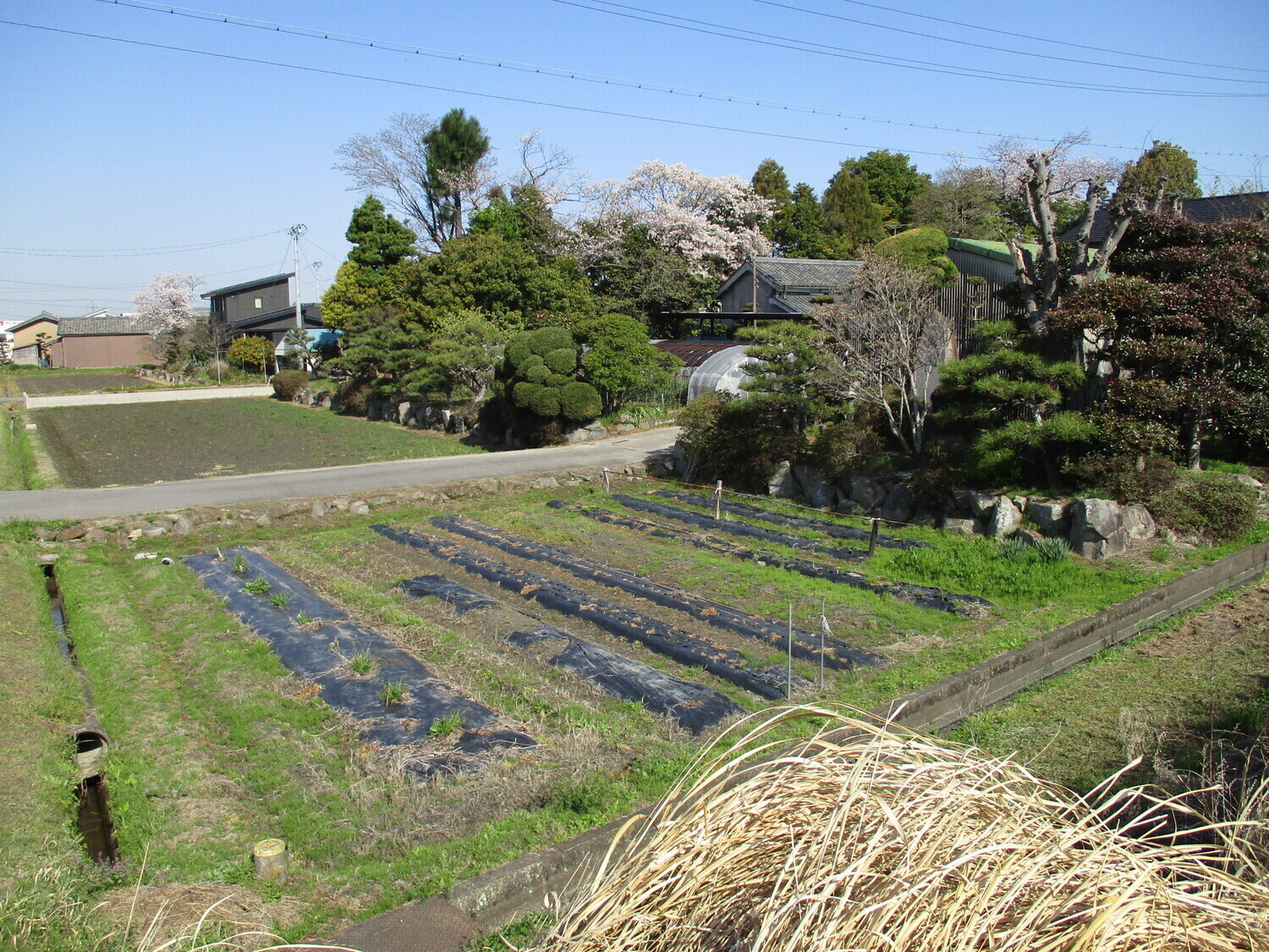 MikawaWatarijou (1).JPG