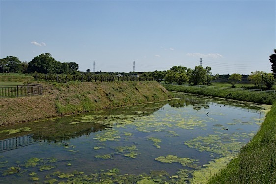 File:Oda7.jpg