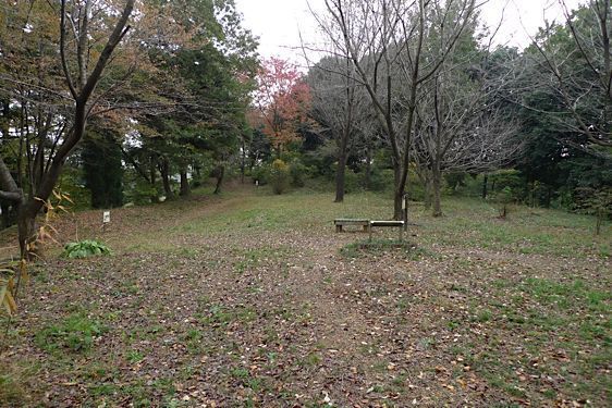 File:Sugiyama9.jpg