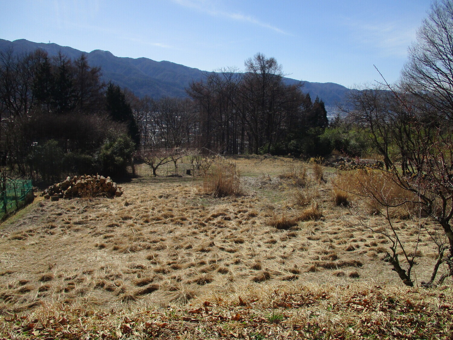 SuwaYakata (2).JPG