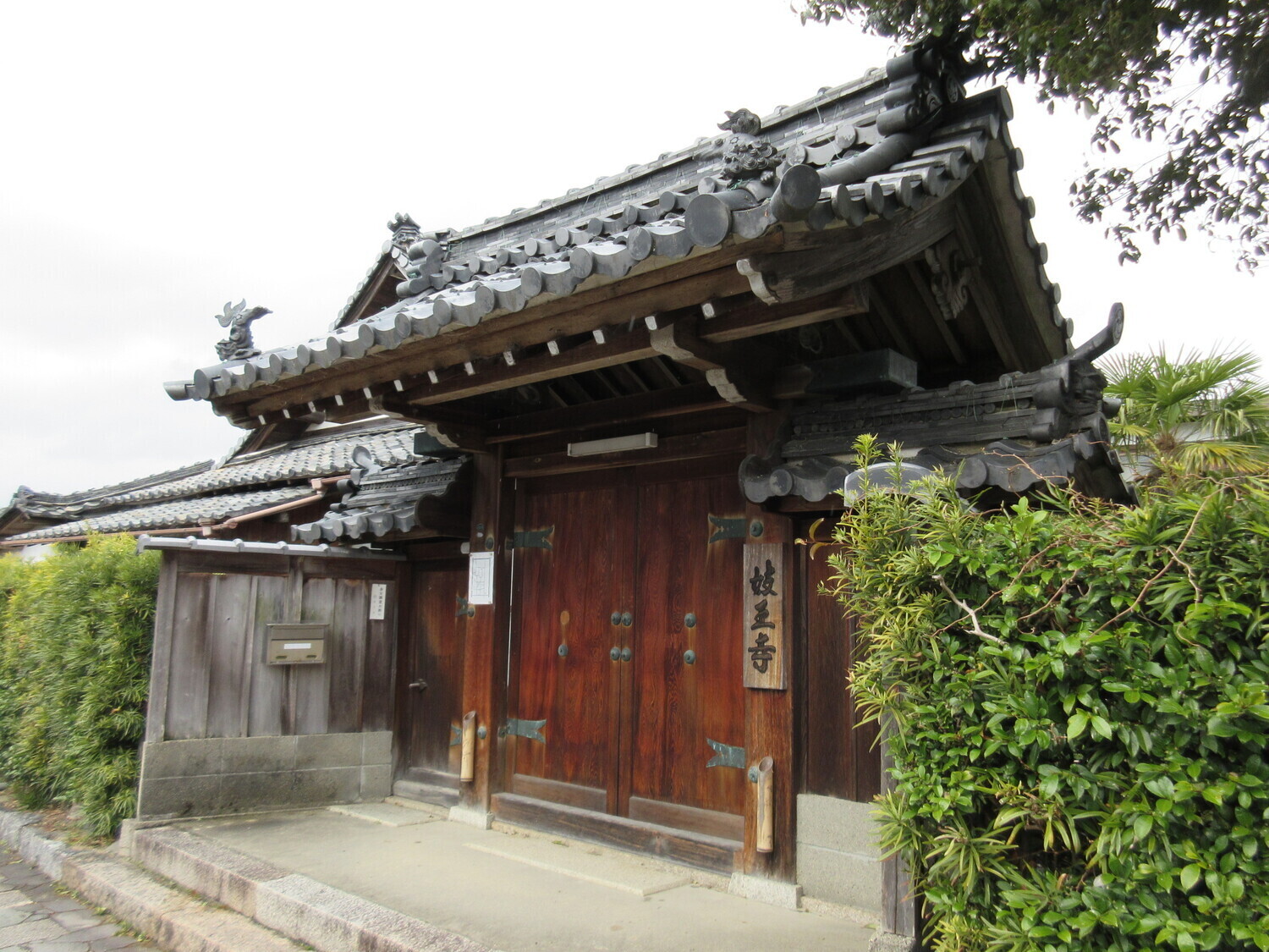YasuEbejou (1).JPG