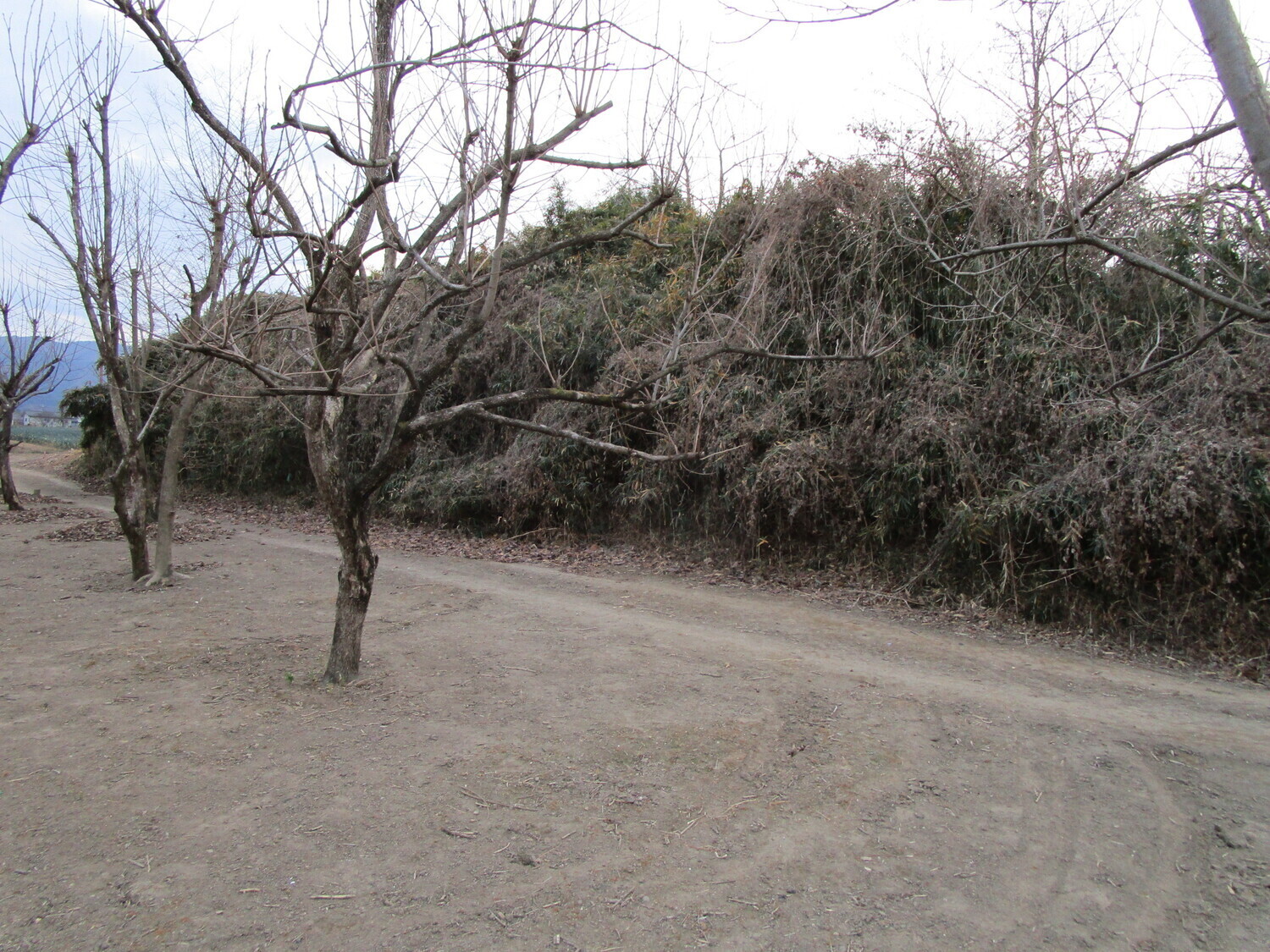 Kōzuke-Niiyajō01.JPG