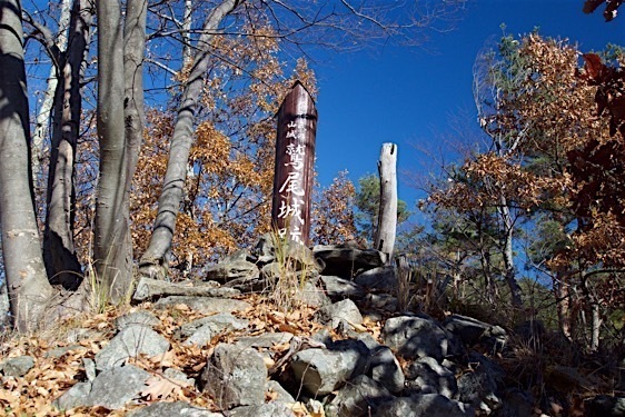 File:Washio14.jpg