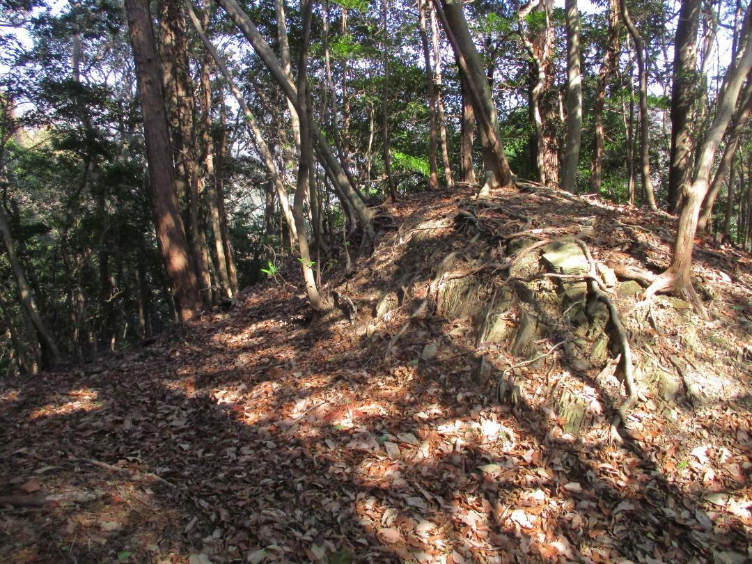 Natsuyamajou (8).jpg