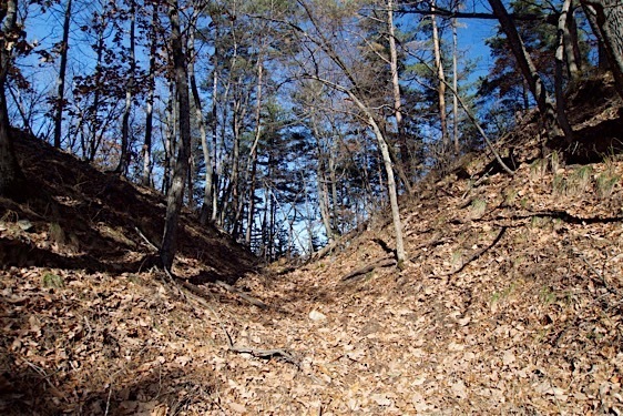File:Washio30.jpg