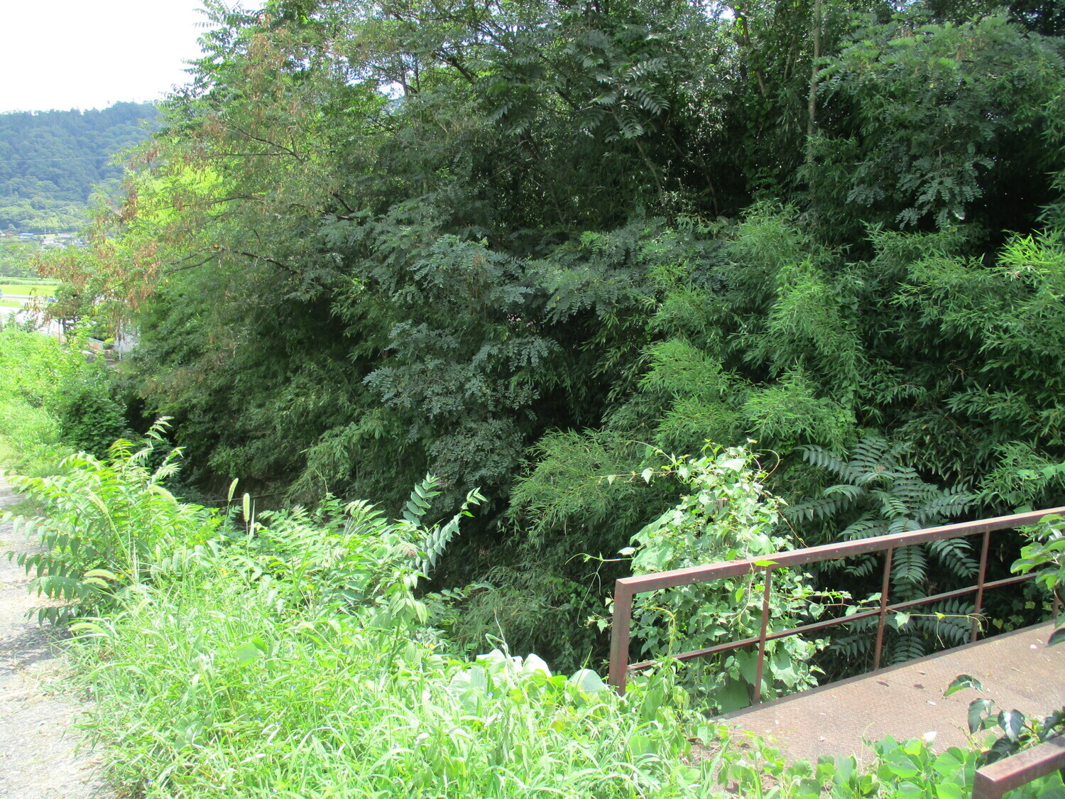 AzumiOgiwaraYakata (2).JPG