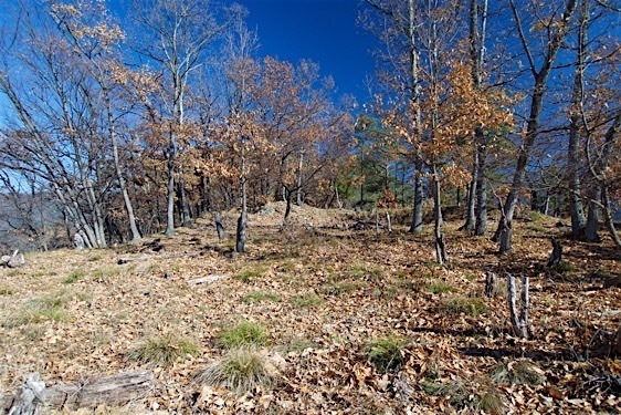 File:Washio16.jpg