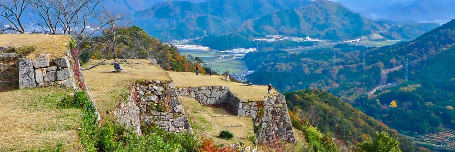 Takeda index1.jpg