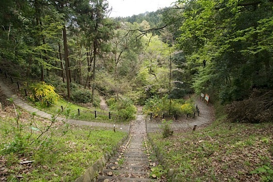 File:Kawamura30.jpg