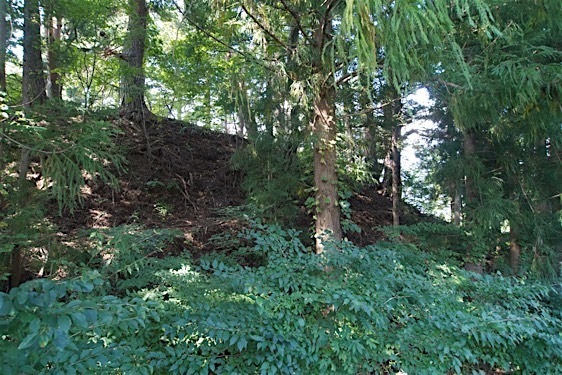 File:Sasao7.jpg