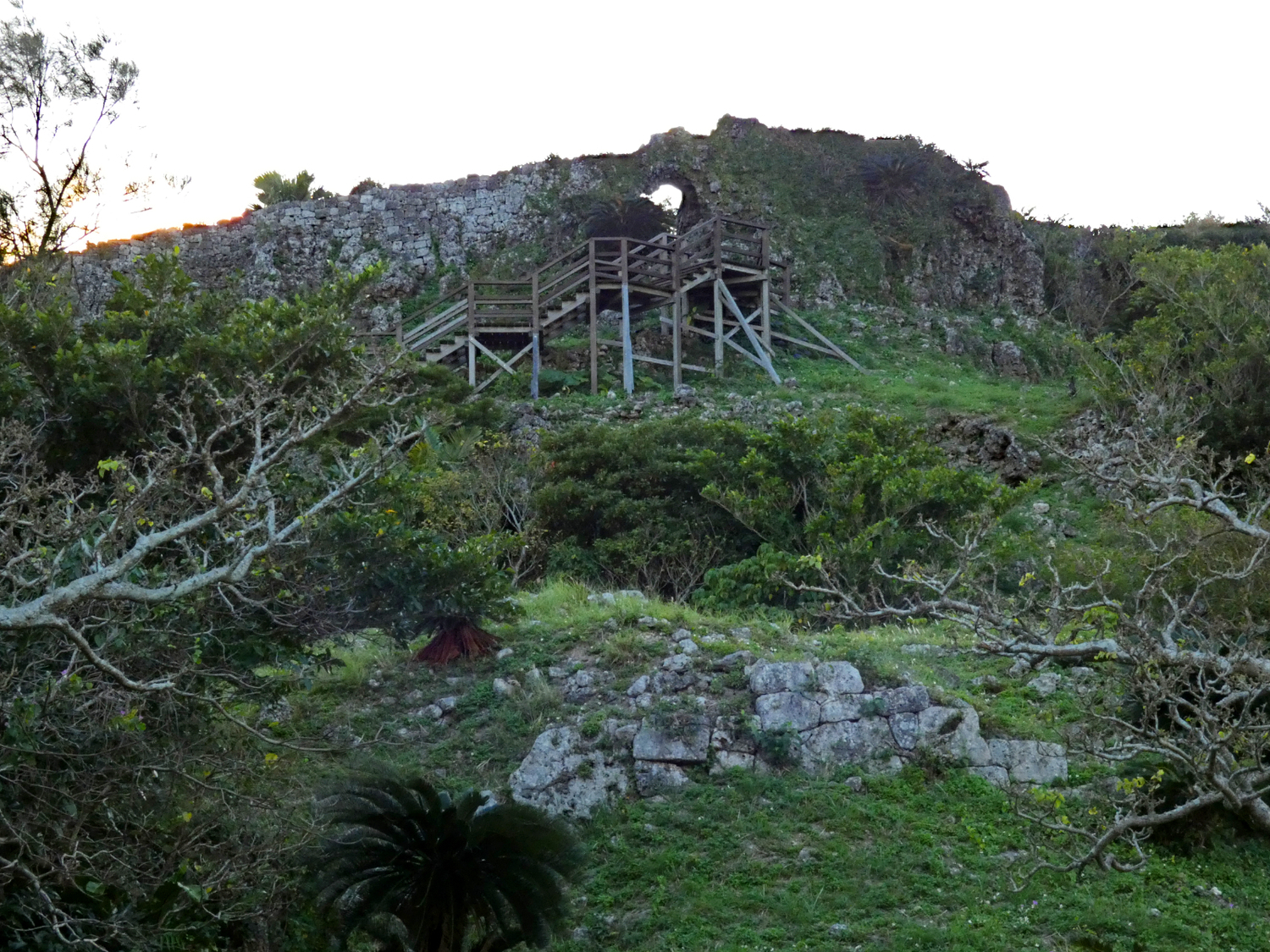 Tamagusuku 35.jpg
